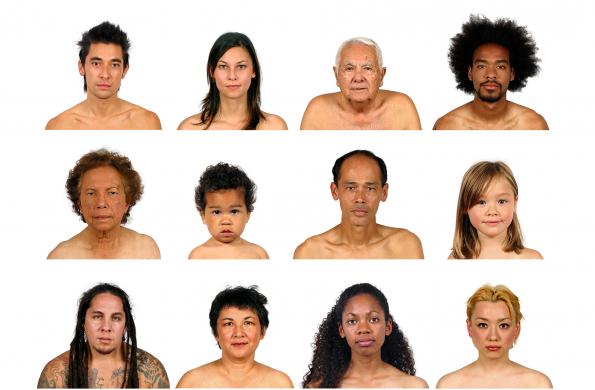 The Hapa Project mosaic