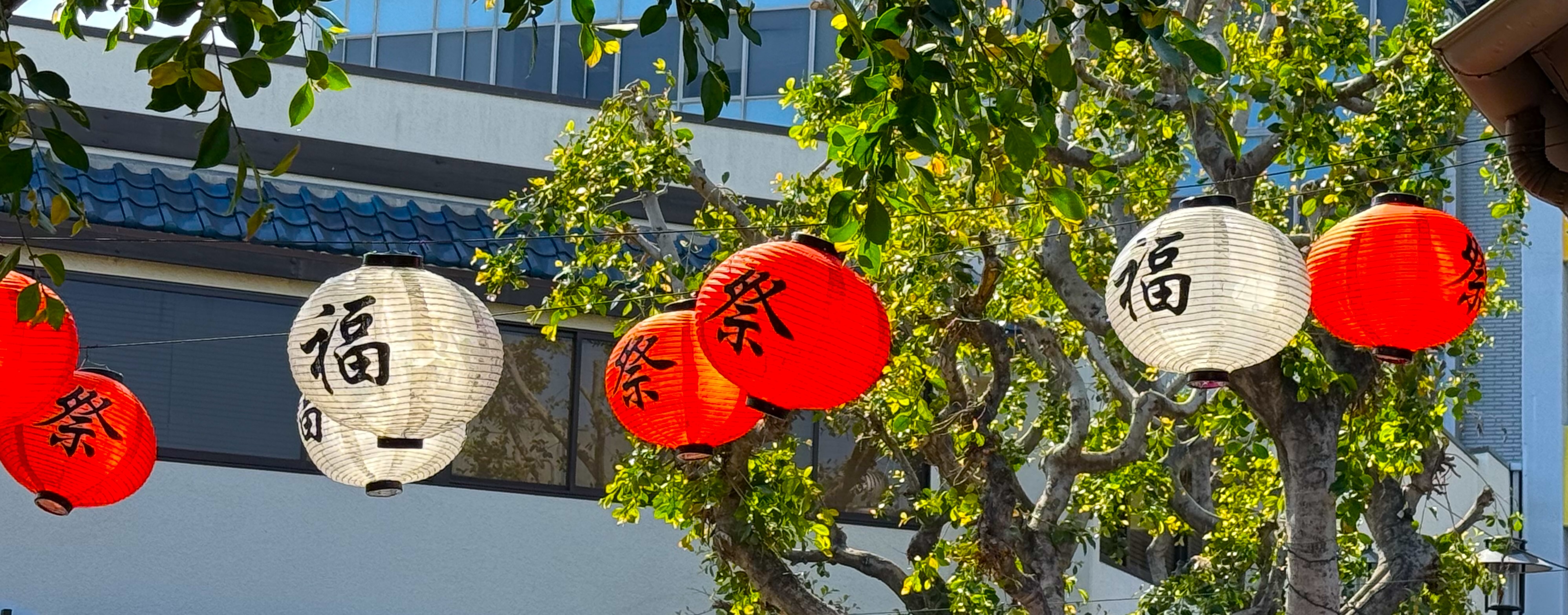 Japanese lanterns hanging from trees