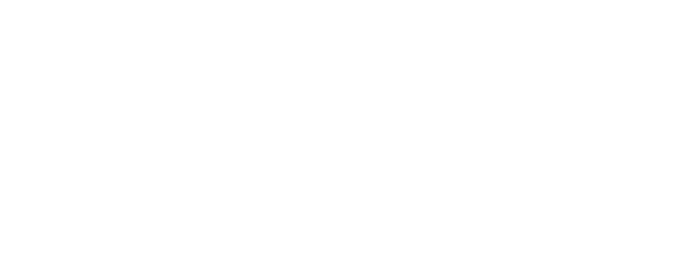 Our Fragile Democracy