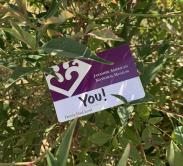 A purple and white membership card is nestled among green branches.