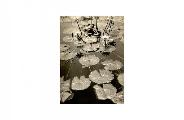 Pond Fantasy by Asahachi Kono for Making Waves exhibit