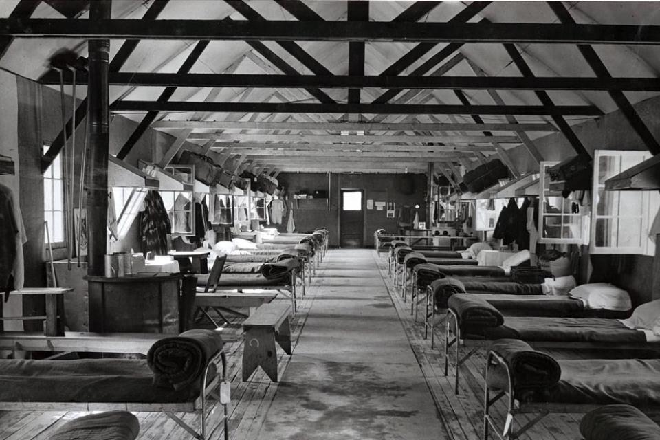 Only the Oaks Remain