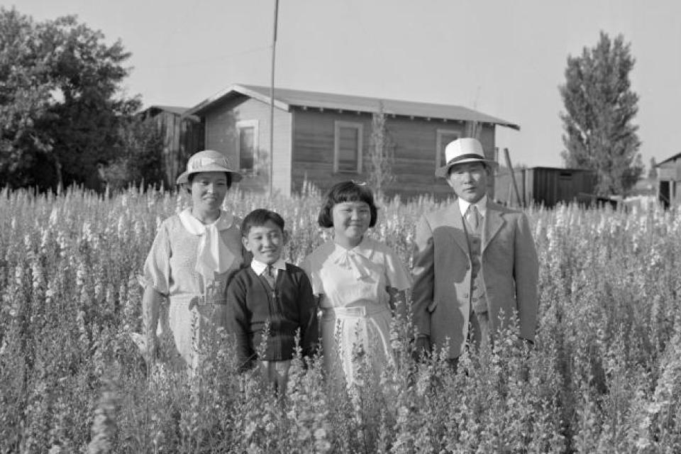 family portrait in wheat field farm