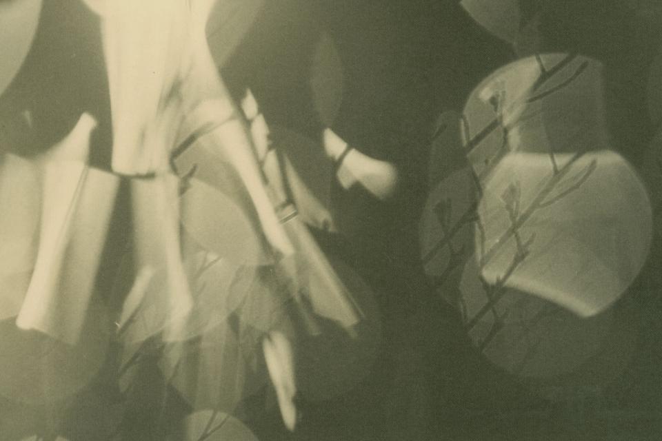 black and white photo light study detail crop