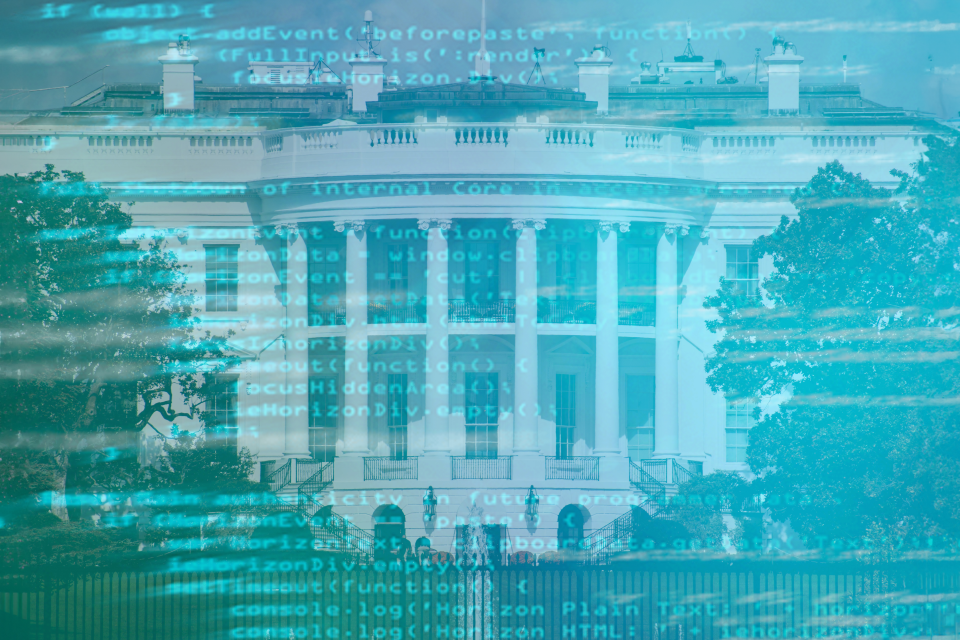 white house digital image
