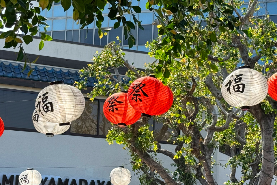 Japanese lanterns hanging from trees